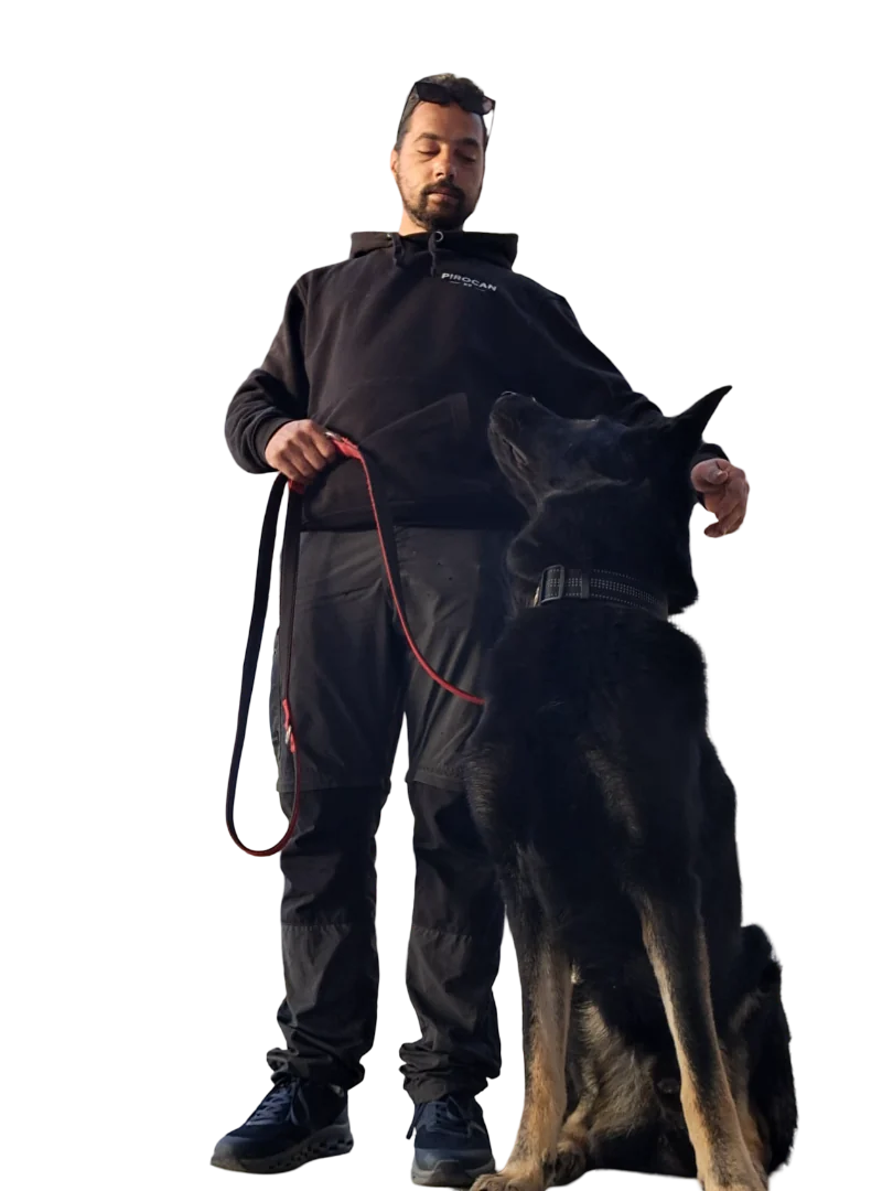 Pedro, educador canino de PiroCan, trabajando con un perro